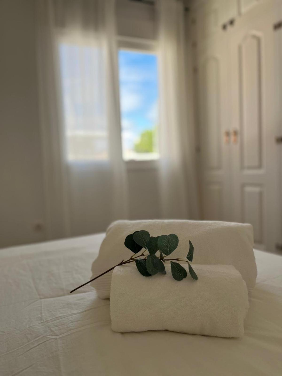Malaga Prime Location - Stylish Apartment With Free Wifi, Free Parking, Steps From The Historic Center מראה חיצוני תמונה