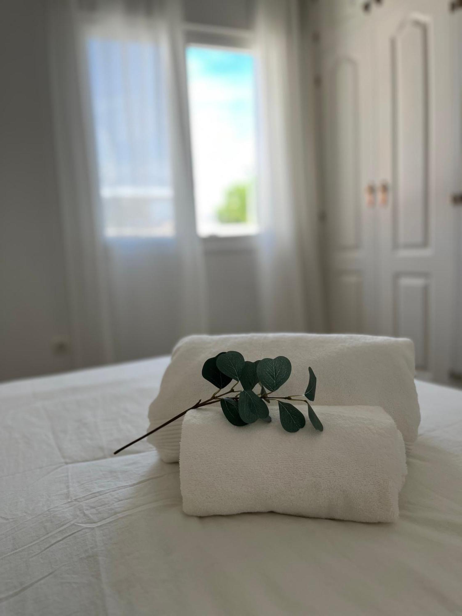 Malaga Prime Location - Stylish Apartment With Free Wifi, Free Parking, Steps From The Historic Center מראה חיצוני תמונה
